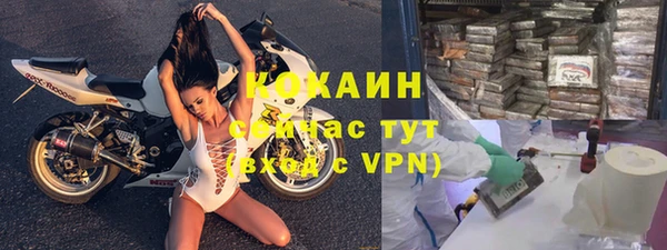 соль ск Богданович