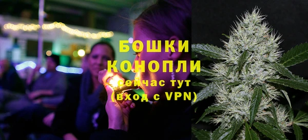 ГАЛЛЮЦИНОГЕННЫЕ ГРИБЫ Богородск