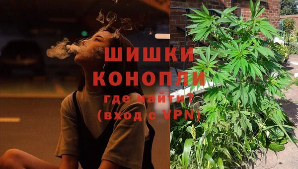 соль ск Богданович