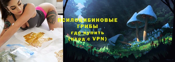 соль ск Богданович
