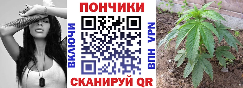 блэк спрут вход  Малаховка  Марихуана семена  закладки 